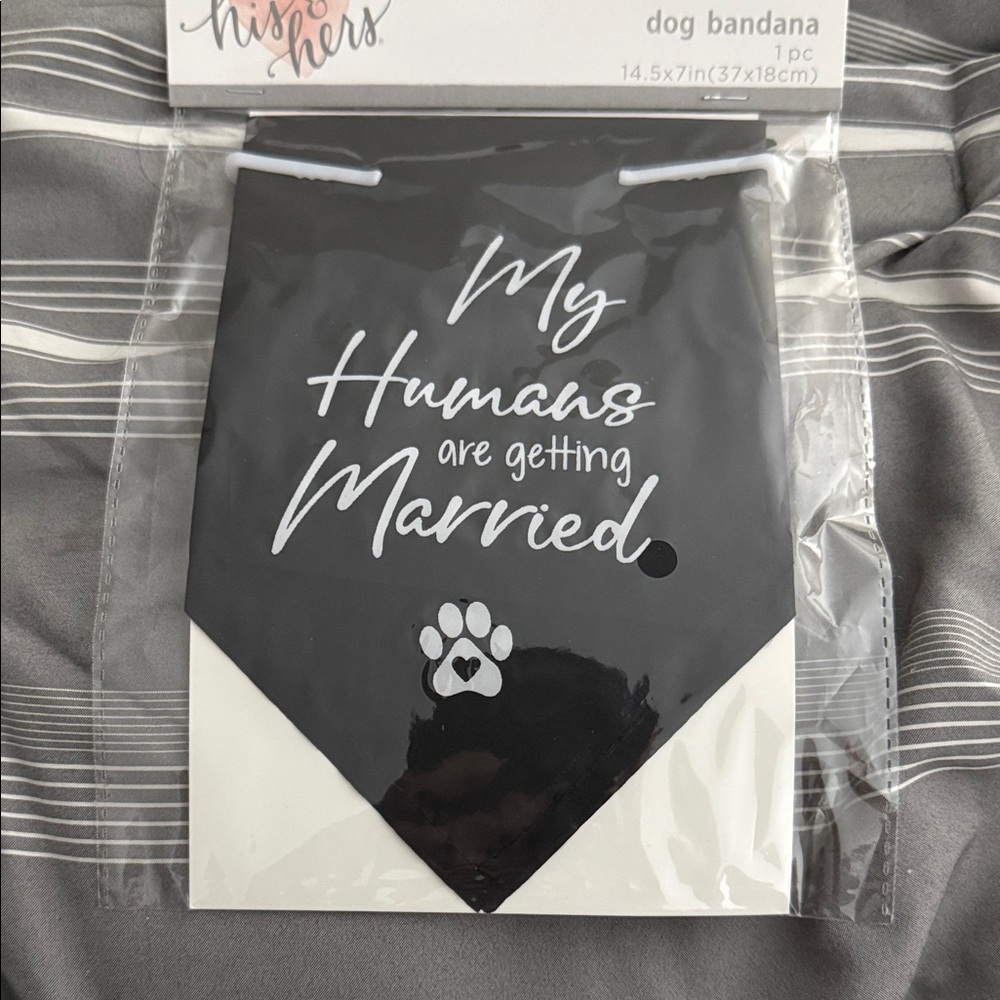 Charming Black Dog Bandana - Wedding Announcement